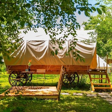 Dragonfly Gardens - The Wagons Hotel Braşov Buitenkant foto