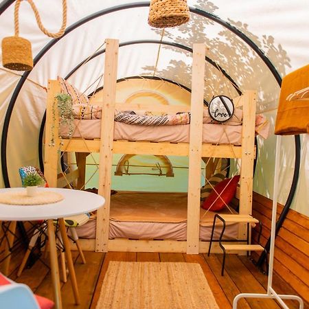 Dragonfly Gardens - The Wagons Hotel Braşov Buitenkant foto