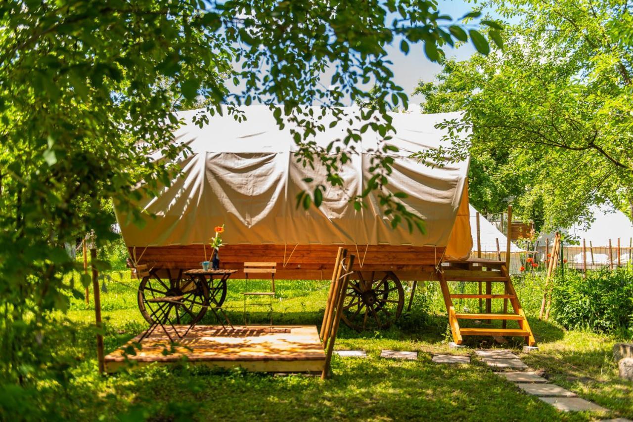 Dragonfly Gardens - The Wagons Hotel Braşov Buitenkant foto