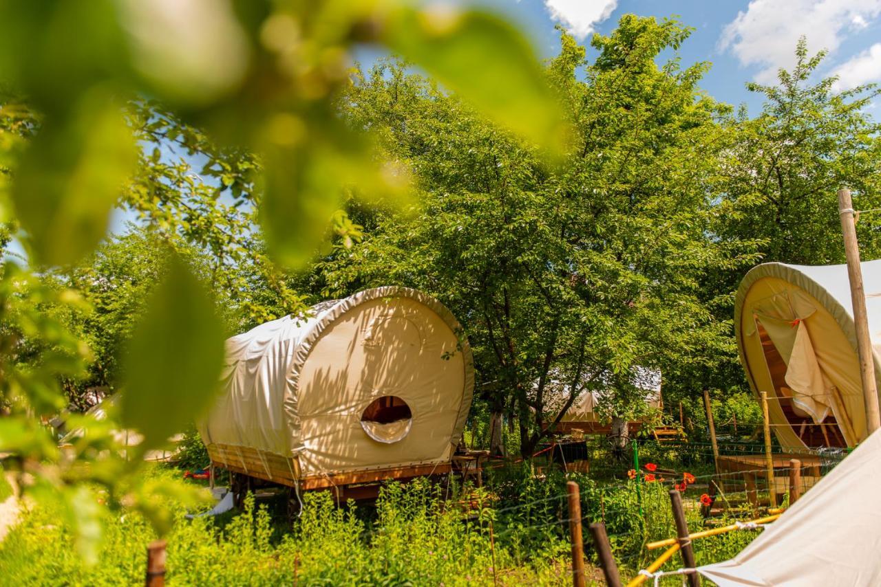 Dragonfly Gardens - The Wagons Hotel Braşov Buitenkant foto