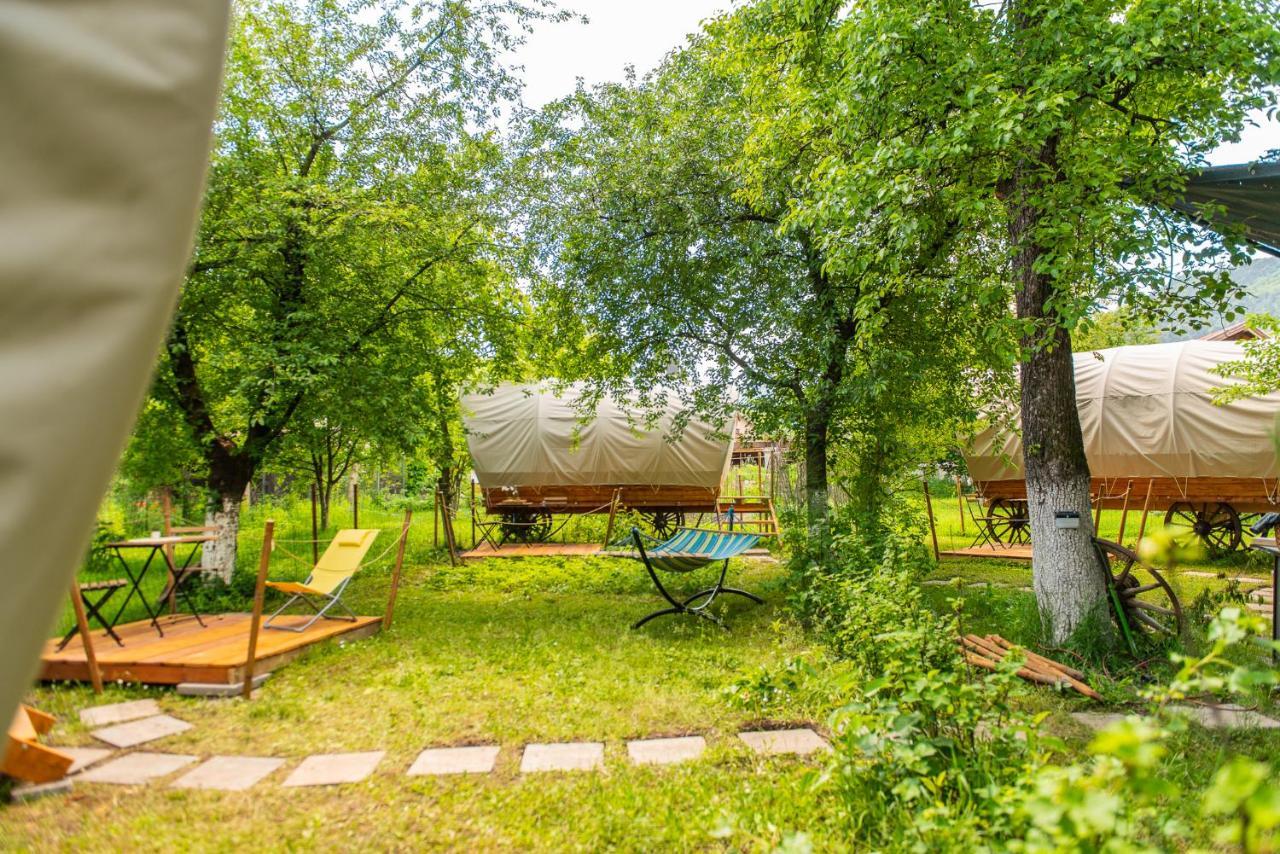 Dragonfly Gardens - The Wagons Hotel Braşov Buitenkant foto