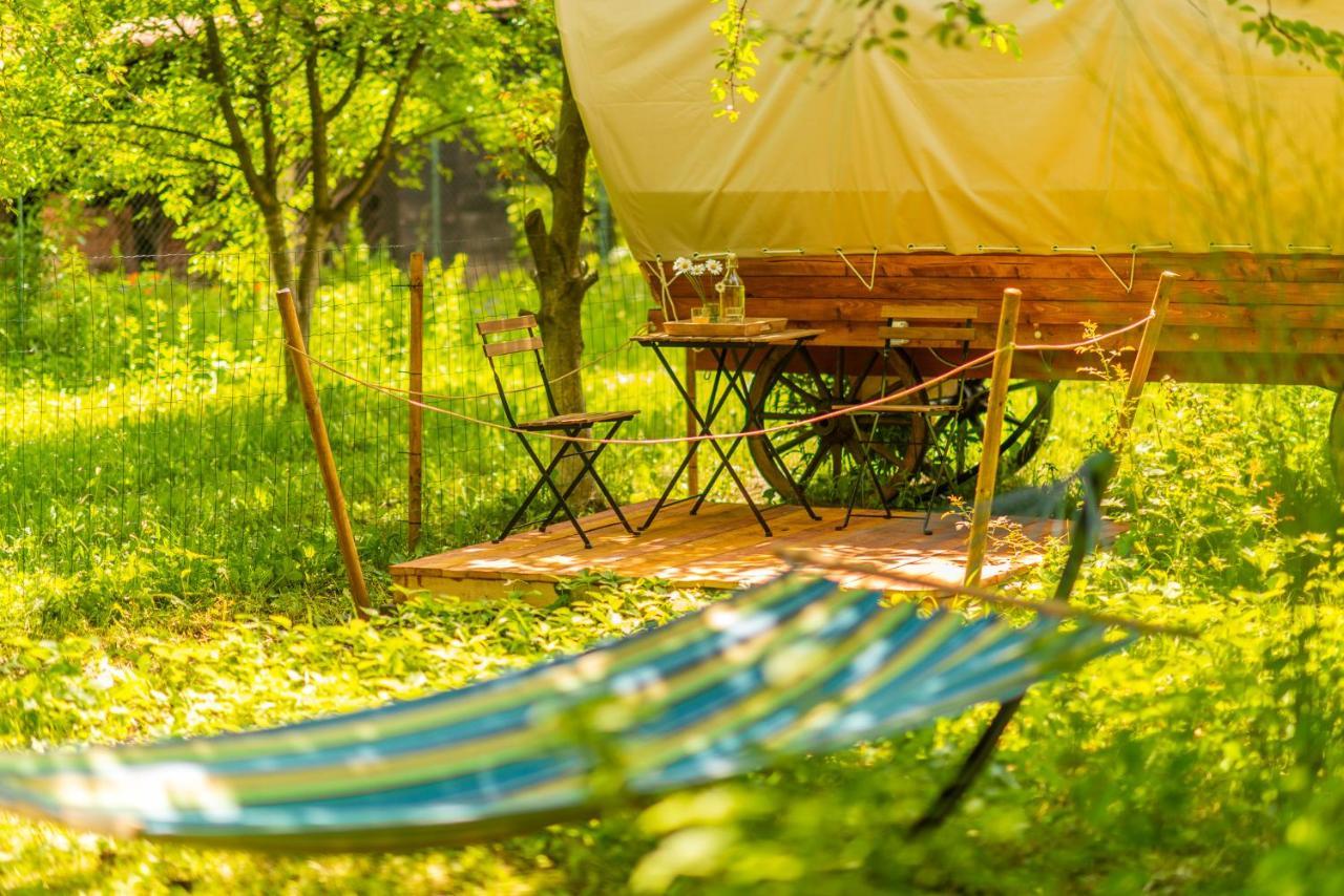 Dragonfly Gardens - The Wagons Hotel Braşov Buitenkant foto