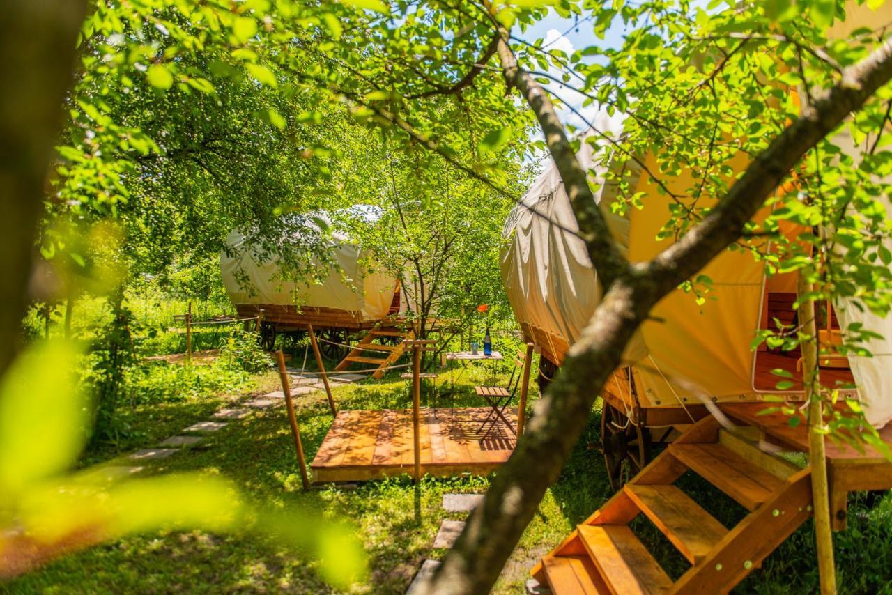 Dragonfly Gardens - The Wagons Hotel Braşov Buitenkant foto