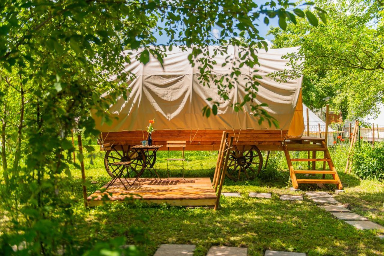 Dragonfly Gardens - The Wagons Hotel Braşov Buitenkant foto