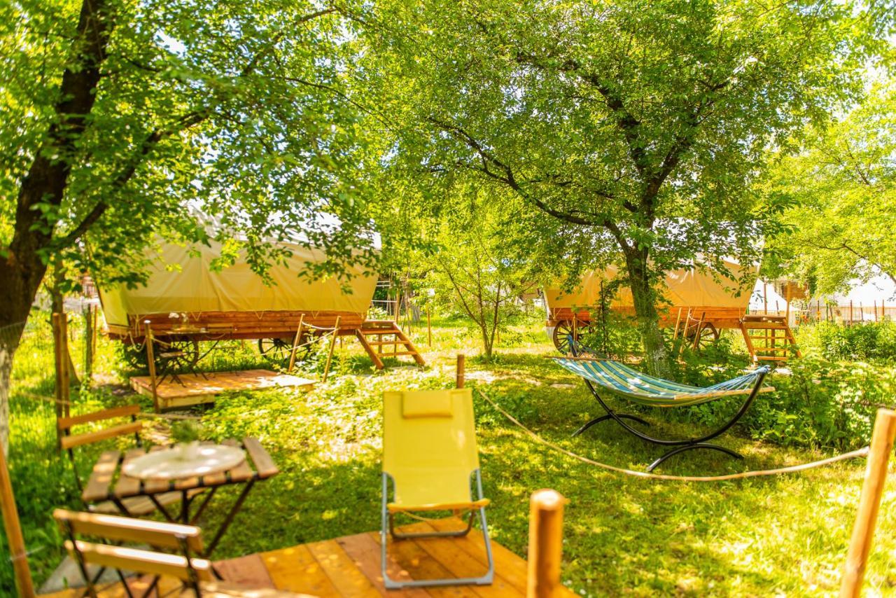 Dragonfly Gardens - The Wagons Hotel Braşov Buitenkant foto