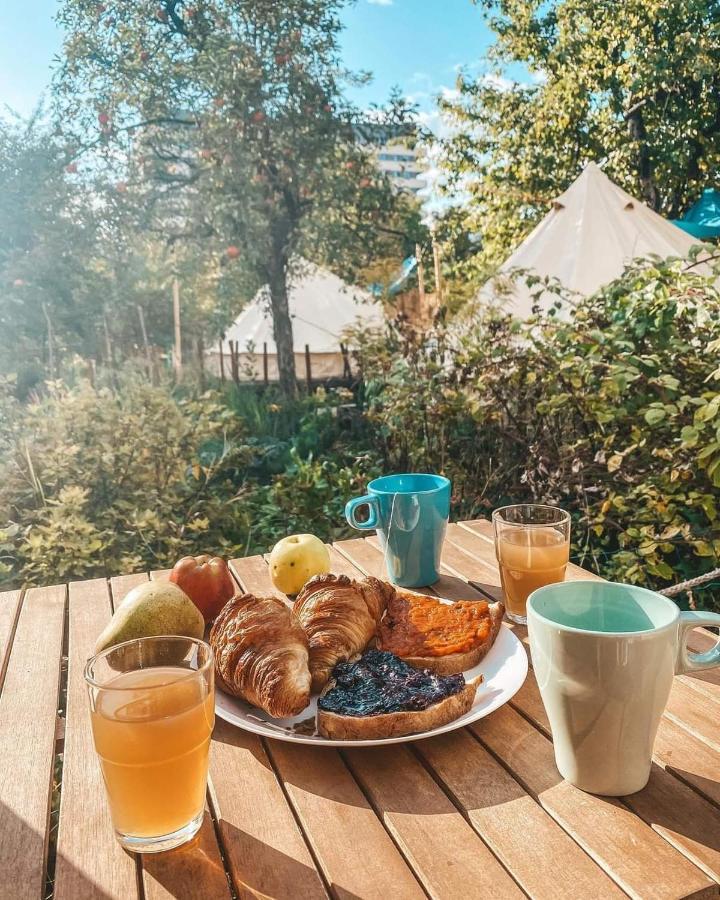 Dragonfly Gardens - The Wagons Hotel Braşov Buitenkant foto