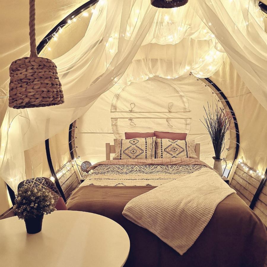 Dragonfly Gardens - The Wagons Hotel Braşov Buitenkant foto