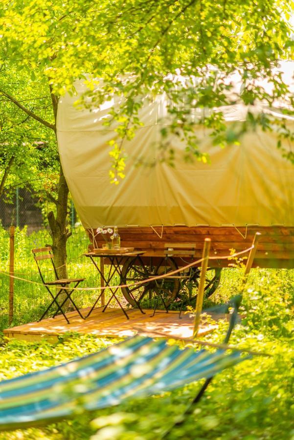Dragonfly Gardens - The Wagons Hotel Braşov Buitenkant foto