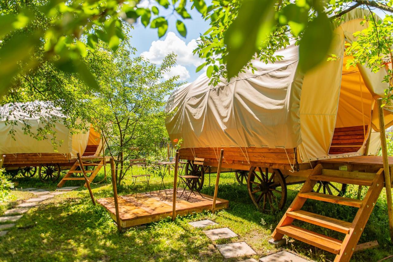 Dragonfly Gardens - The Wagons Hotel Braşov Buitenkant foto
