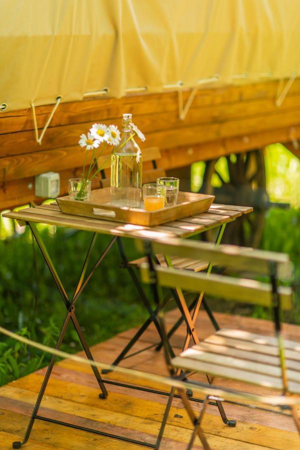 Dragonfly Gardens - The Wagons Hotel Braşov Buitenkant foto