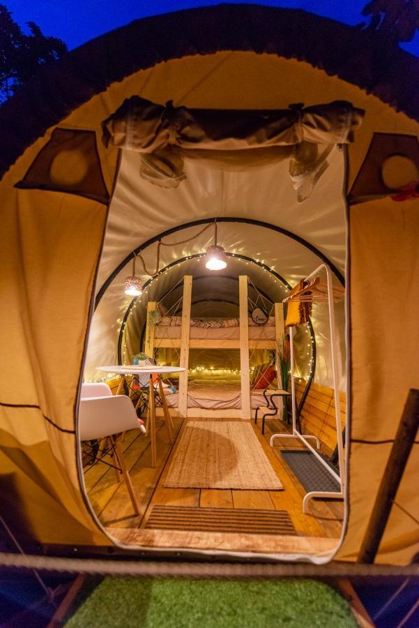 Dragonfly Gardens - The Wagons Hotel Braşov Buitenkant foto