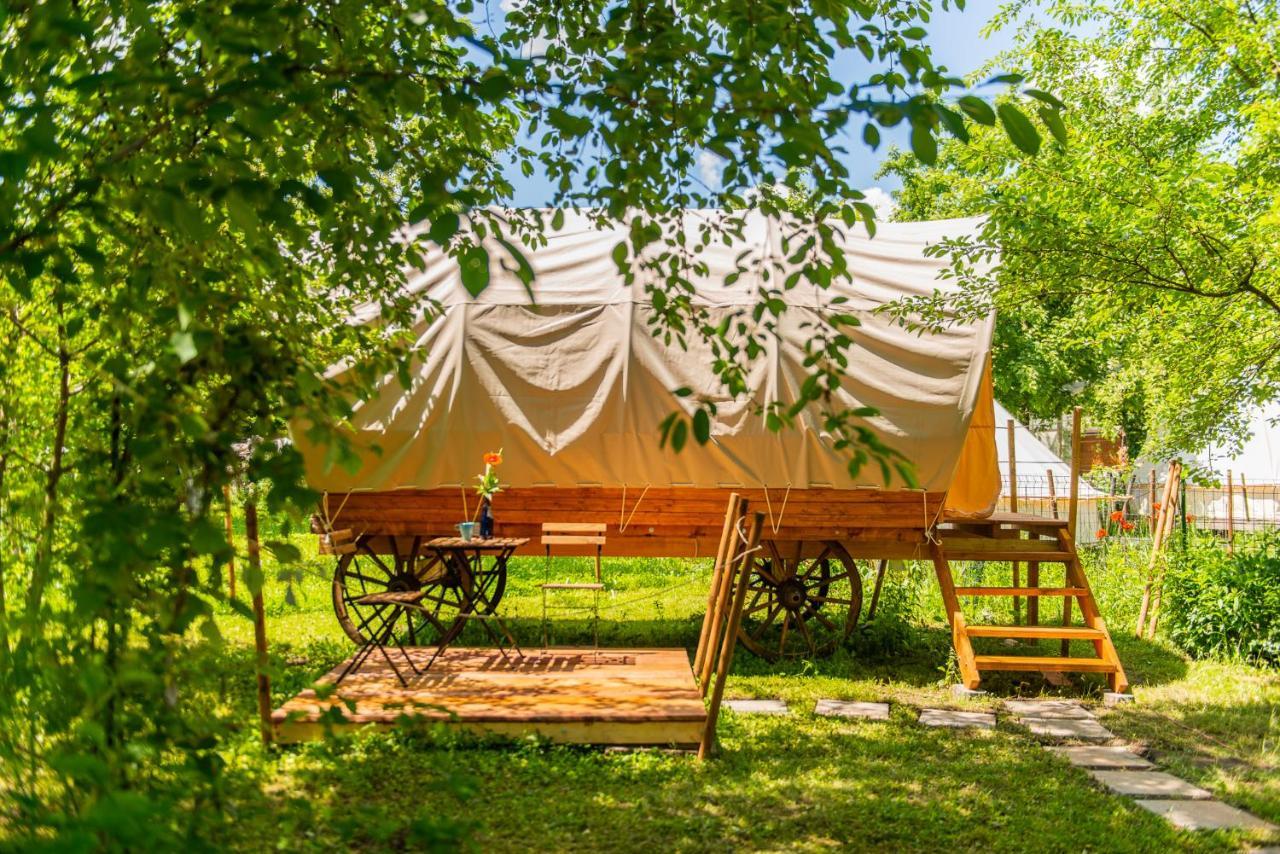 Dragonfly Gardens - The Wagons Hotel Braşov Buitenkant foto