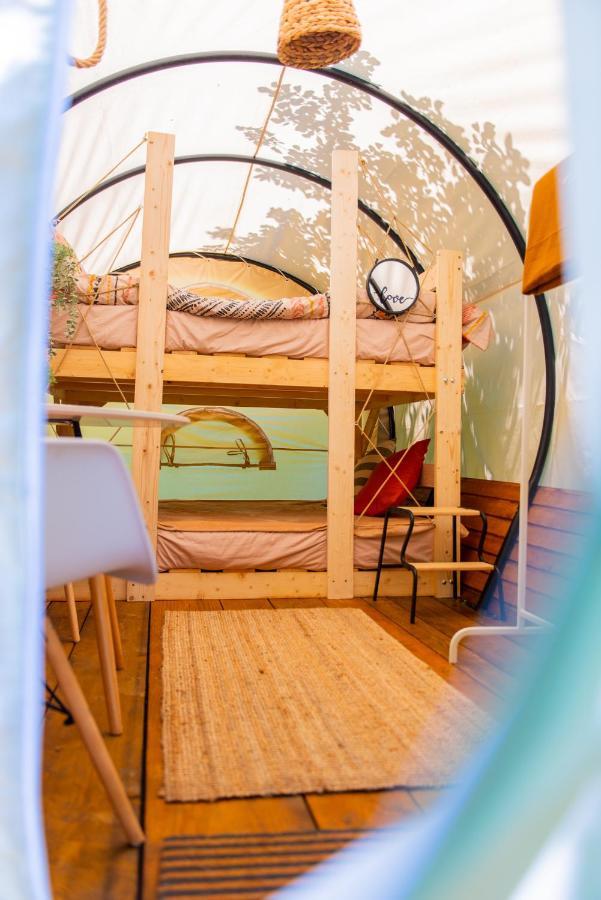 Dragonfly Gardens - The Wagons Hotel Braşov Buitenkant foto