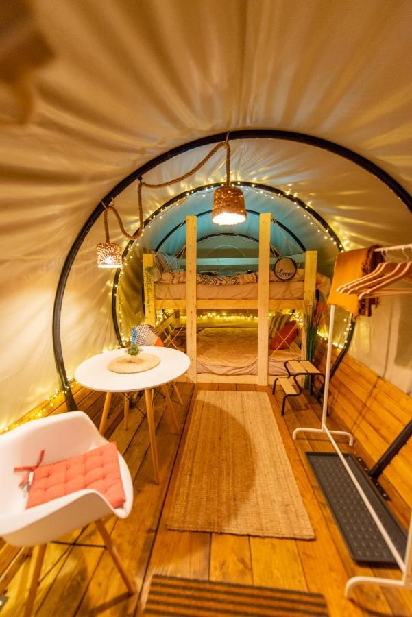 Dragonfly Gardens - The Wagons Hotel Braşov Buitenkant foto