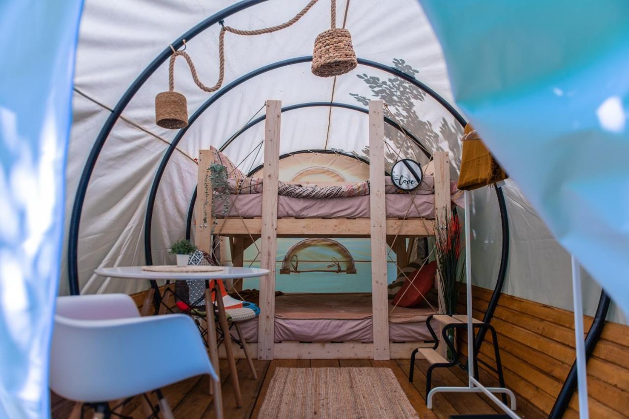 Dragonfly Gardens - The Wagons Hotel Braşov Buitenkant foto