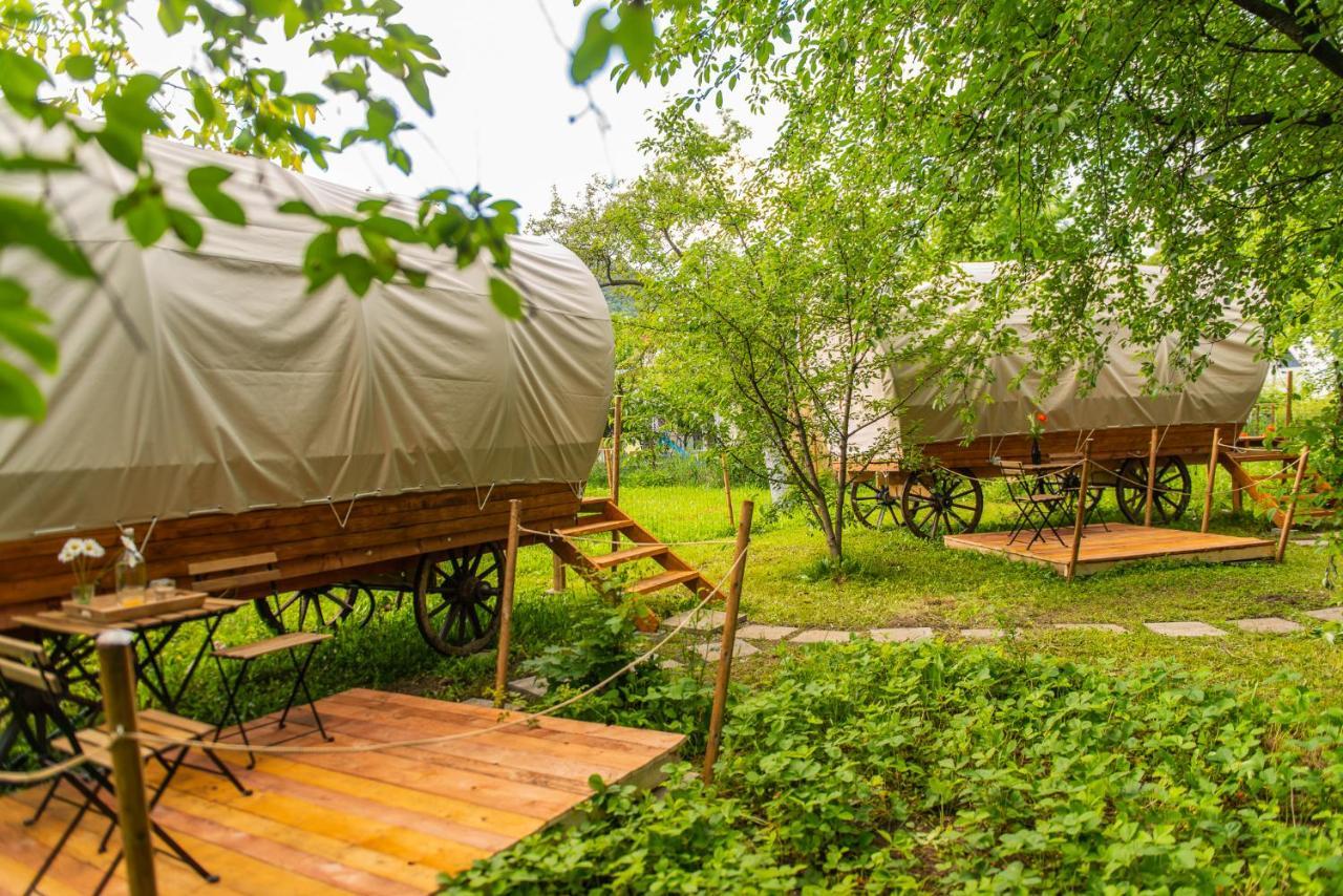 Dragonfly Gardens - The Wagons Hotel Braşov Buitenkant foto