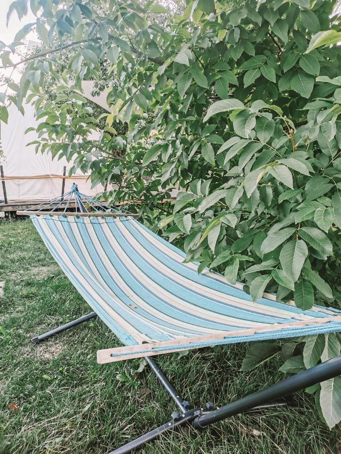 Dragonfly Gardens - The Wagons Hotel Braşov Buitenkant foto