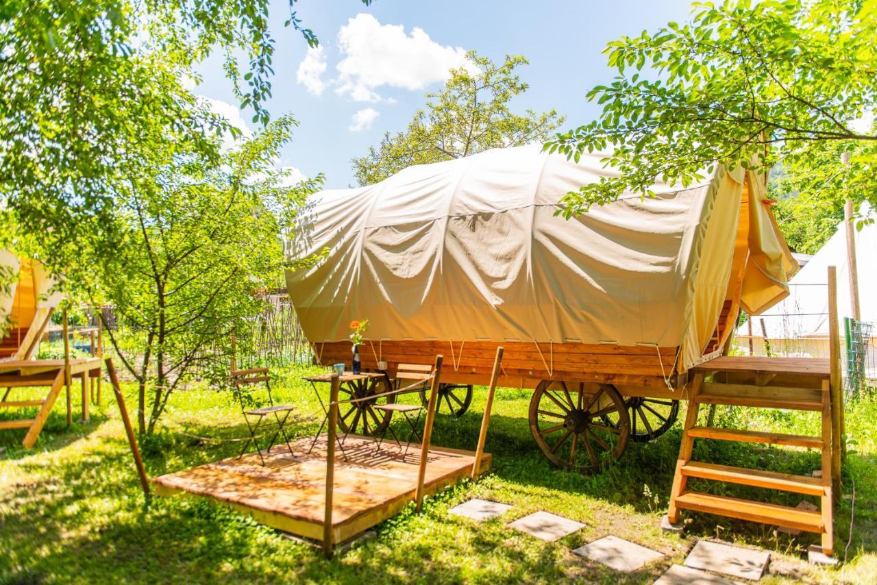 Dragonfly Gardens - The Wagons Hotel Braşov Buitenkant foto