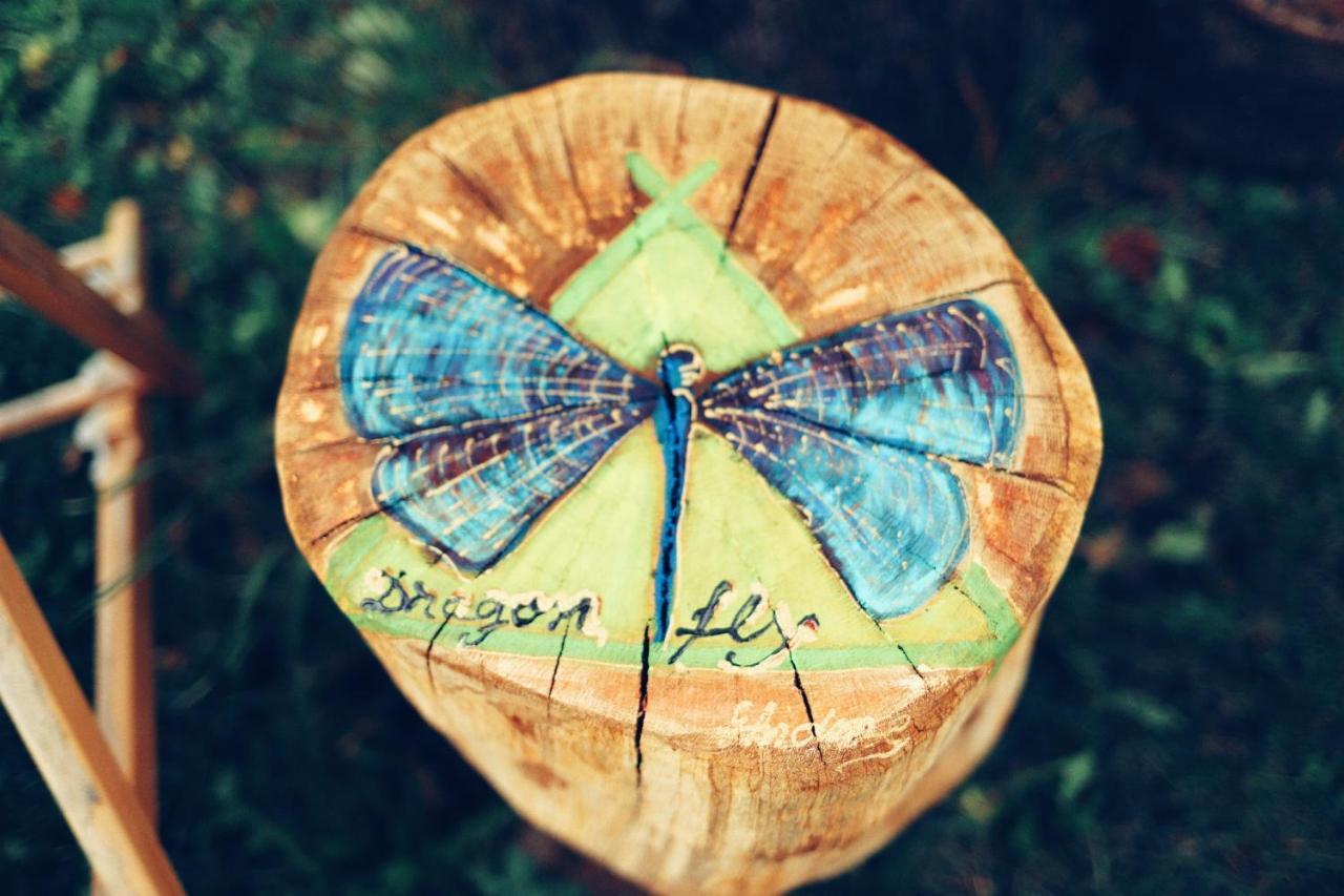 Dragonfly Gardens - The Wagons Hotel Braşov Buitenkant foto