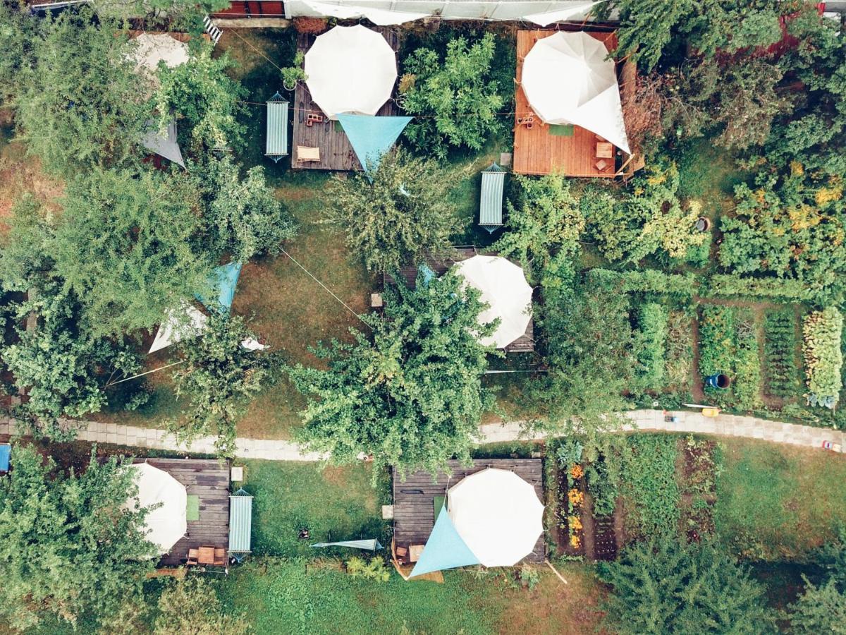 Dragonfly Gardens - The Wagons Hotel Braşov Buitenkant foto