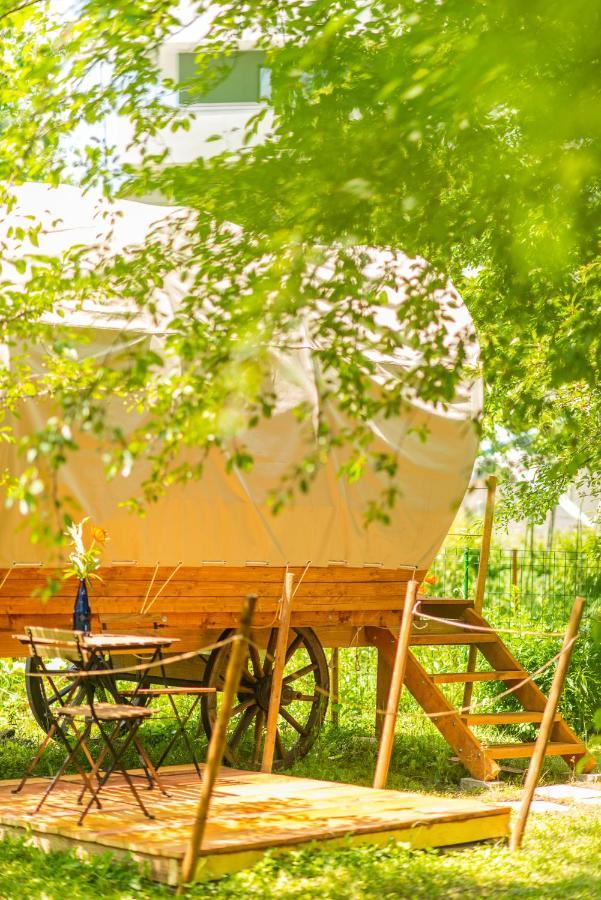 Dragonfly Gardens - The Wagons Hotel Braşov Buitenkant foto