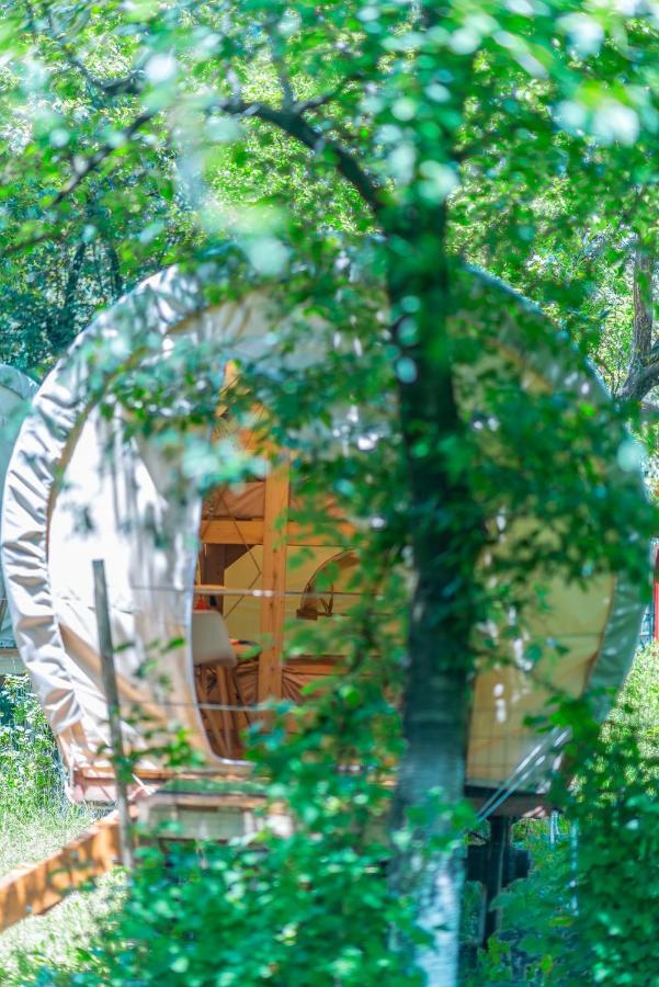 Dragonfly Gardens - The Wagons Hotel Braşov Buitenkant foto
