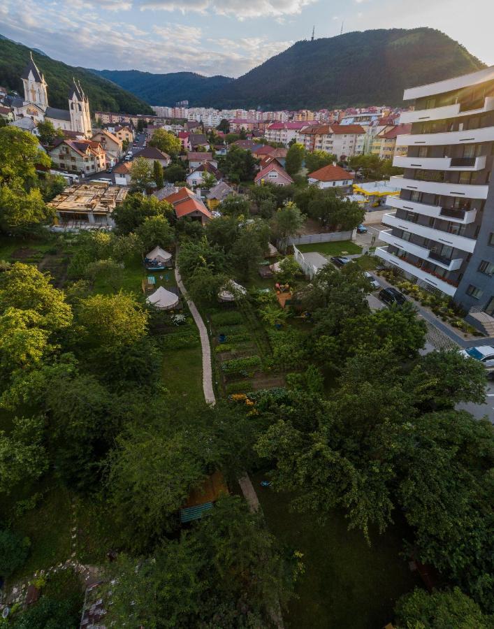 Dragonfly Gardens - The Wagons Hotel Braşov Buitenkant foto
