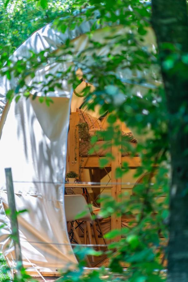 Dragonfly Gardens - The Wagons Hotel Braşov Buitenkant foto