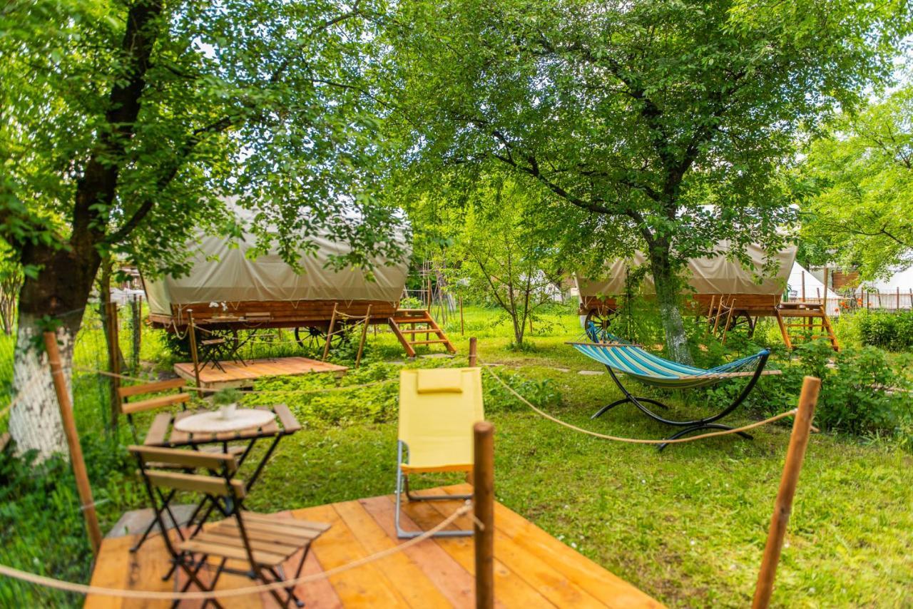 Dragonfly Gardens - The Wagons Hotel Braşov Buitenkant foto