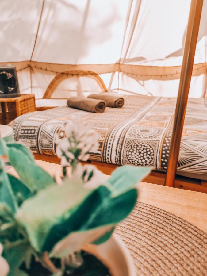 Dragonfly Gardens - The Wagons Hotel Braşov Buitenkant foto