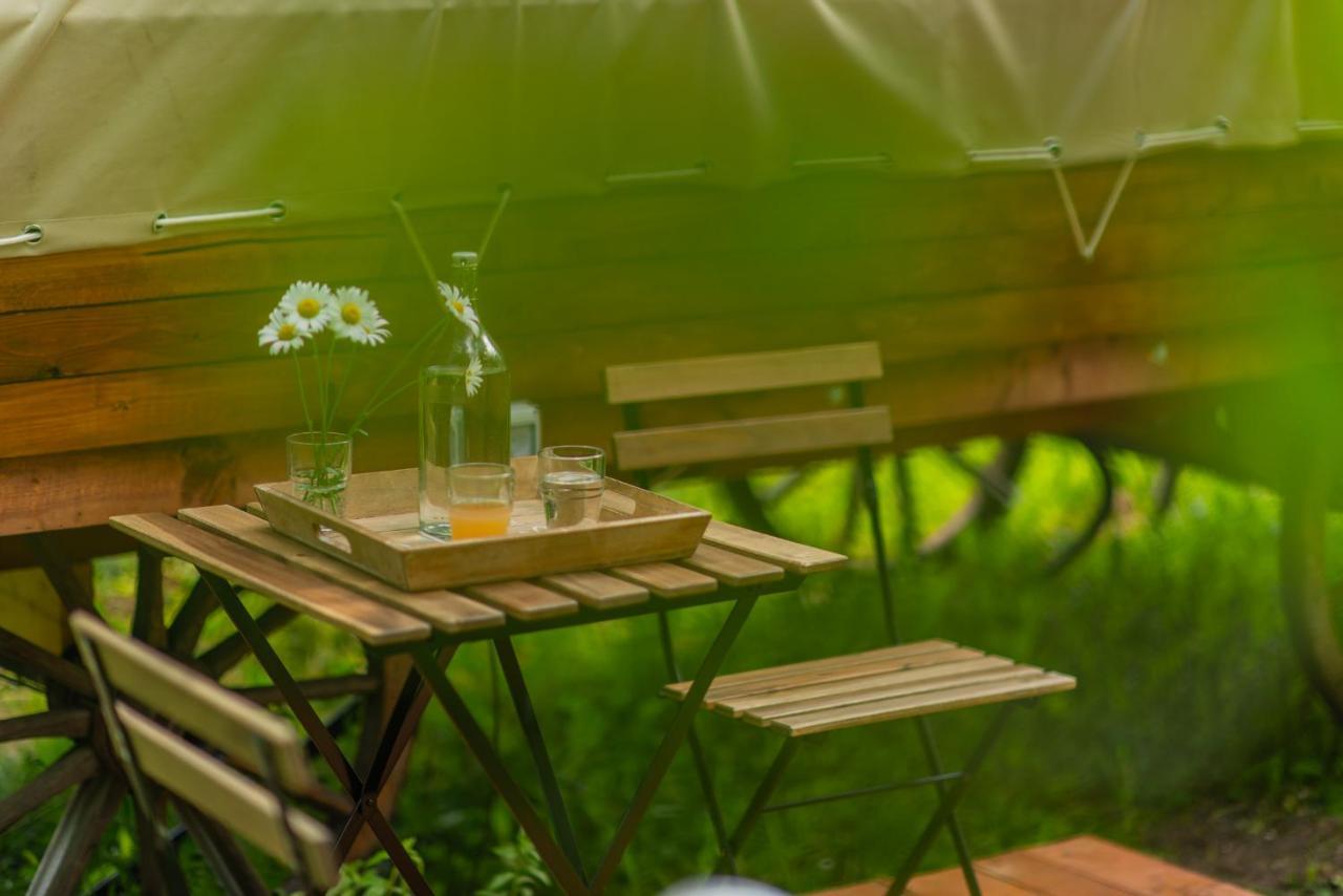 Dragonfly Gardens - The Wagons Hotel Braşov Buitenkant foto