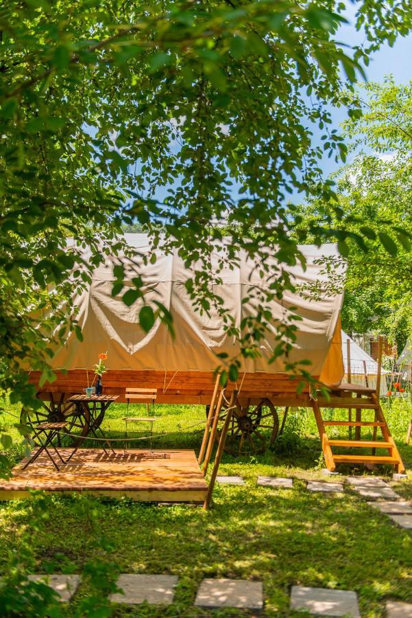 Dragonfly Gardens - The Wagons Hotel Braşov Buitenkant foto