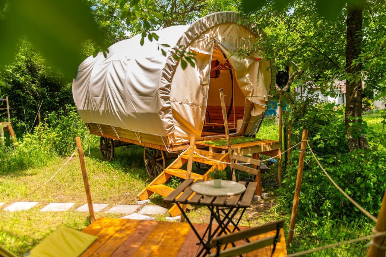 Dragonfly Gardens - The Wagons Hotel Braşov Buitenkant foto