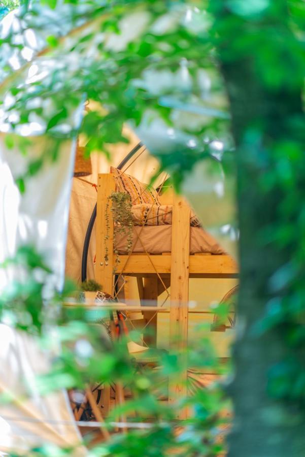 Dragonfly Gardens - The Wagons Hotel Braşov Buitenkant foto