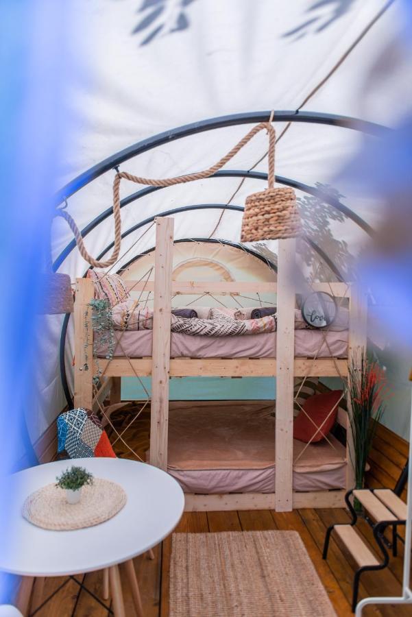 Dragonfly Gardens - The Wagons Hotel Braşov Buitenkant foto
