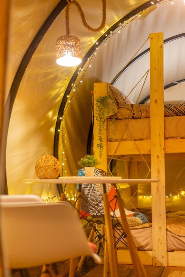 Dragonfly Gardens - The Wagons Hotel Braşov Buitenkant foto