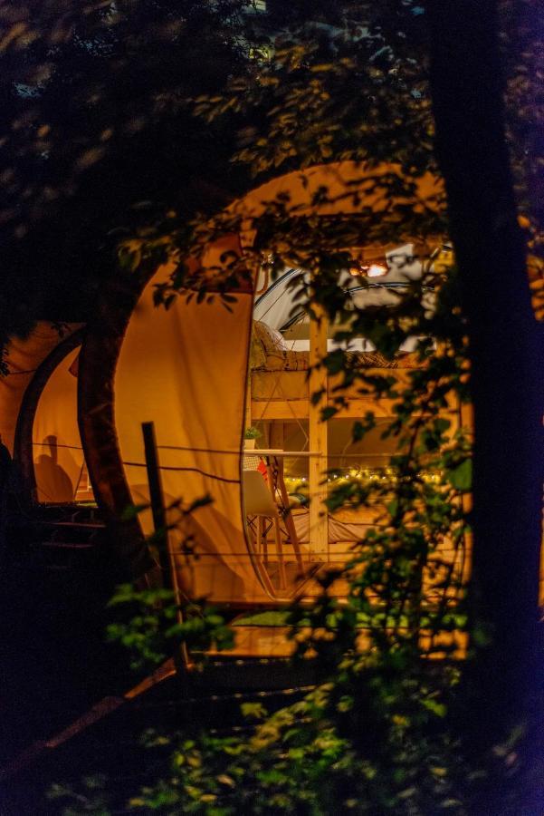 Dragonfly Gardens - The Wagons Hotel Braşov Buitenkant foto