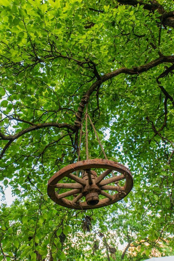 Dragonfly Gardens - The Wagons Hotel Braşov Buitenkant foto