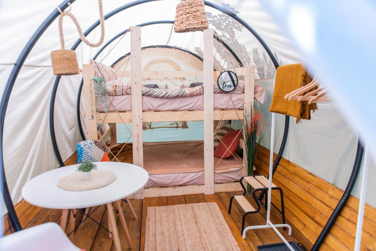 Dragonfly Gardens - The Wagons Hotel Braşov Buitenkant foto