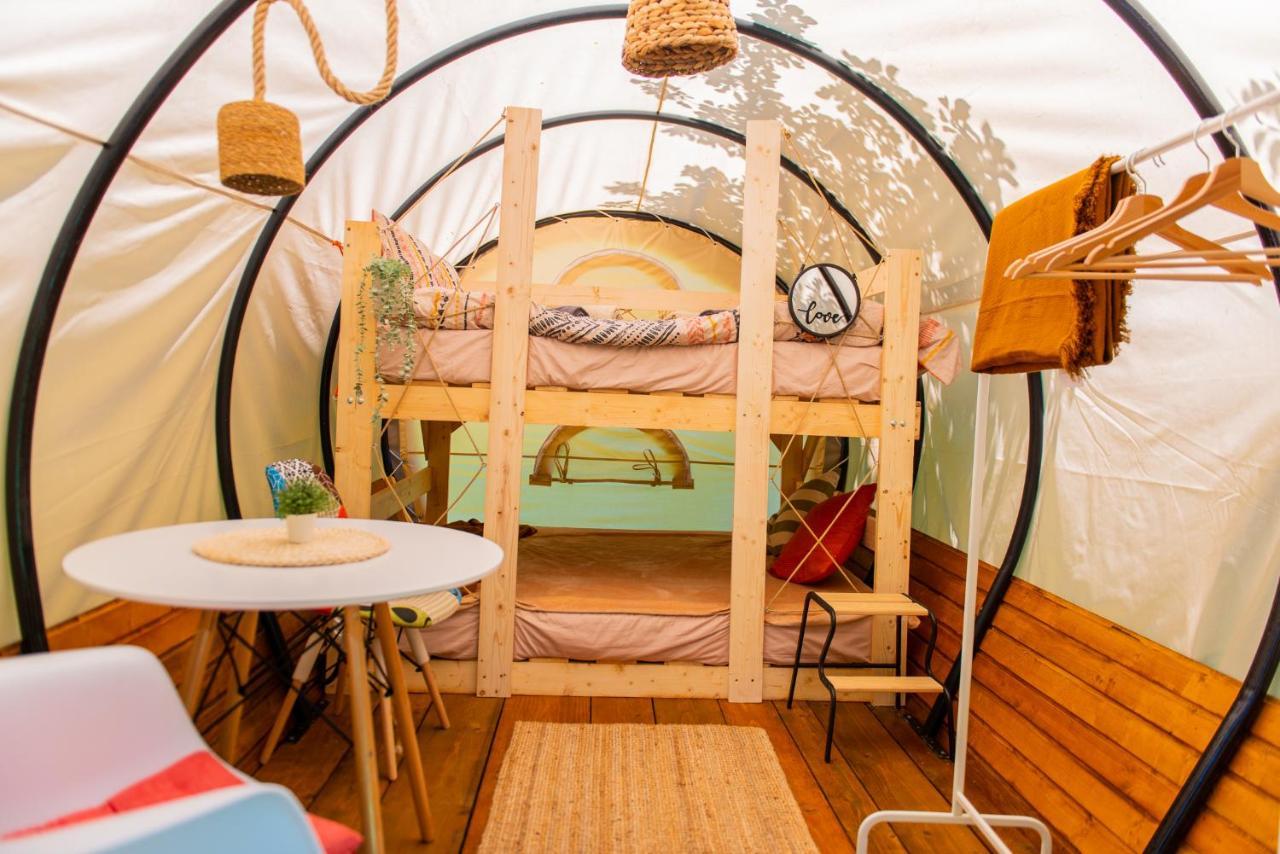 Dragonfly Gardens - The Wagons Hotel Braşov Buitenkant foto