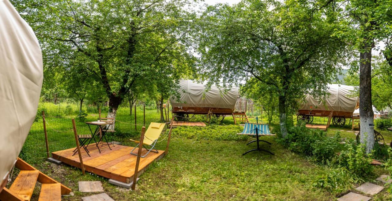 Dragonfly Gardens - The Wagons Hotel Braşov Buitenkant foto
